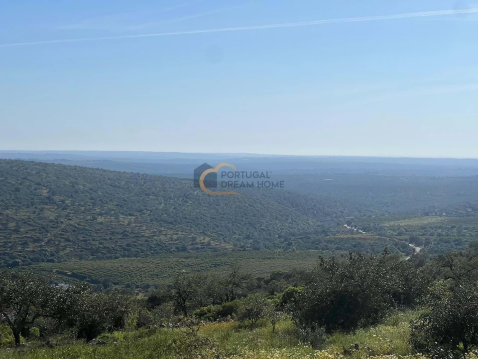 Terreno para Venda em Alte Foto 1