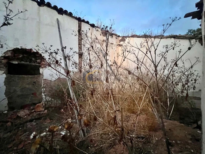 Terreno para Venda em Alte Foto 18