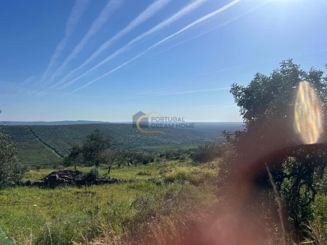 Terreno para Venda em Alte Foto 2