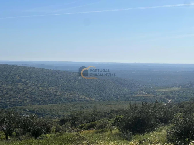Terreno para Venda em Alte