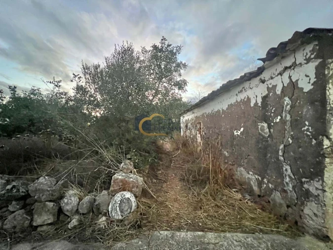 Terreno para Venda em Alte Foto 14