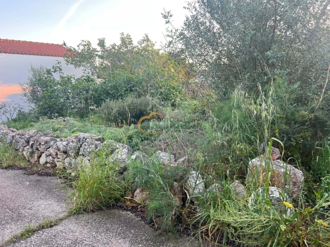 Terreno para Venda em Alte Foto 8