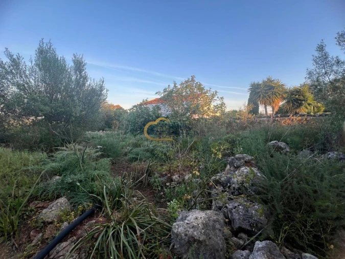 Terreno para Venda em Alte Foto 7