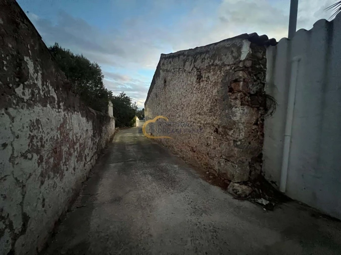 Terreno para Venda em Alte Foto 10