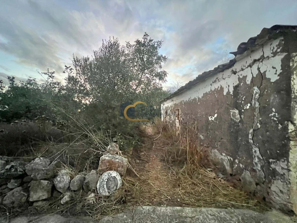 Terreno para Venda em Alte Foto 14
