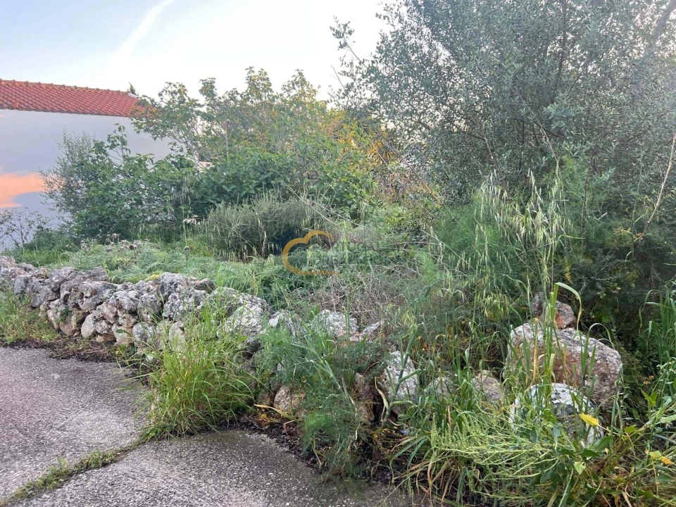 Terreno para Venda em Alte Foto 8