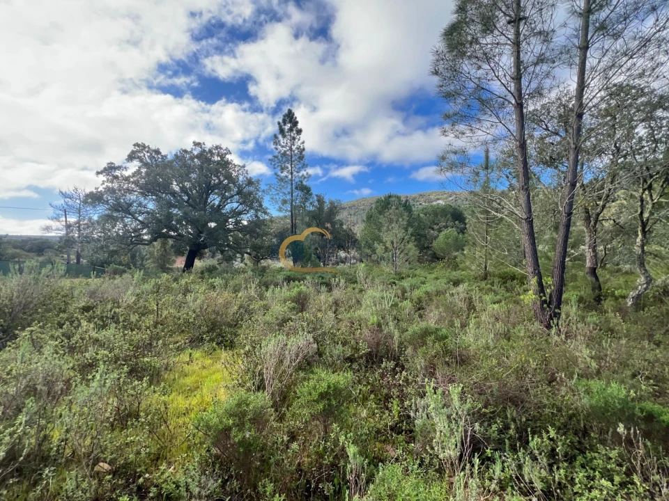 Terreno Agricola ou Rústico para Venda em Alte Foto 17