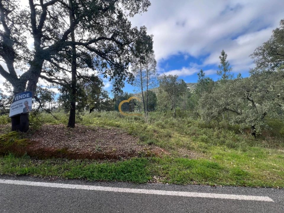 Terreno Agricola ou Rústico para Venda em Alte Foto 22