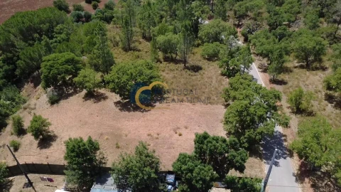 Terreno Agricola ou Rústico para Venda em Alte