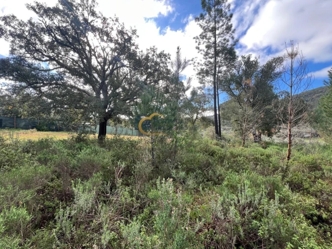 Terreno Agricola ou Rústico para Venda em Alte Foto 14