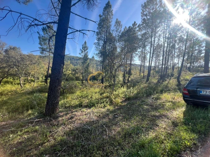 Terreno Agricola ou Rústico para Venda em Alte Foto 8