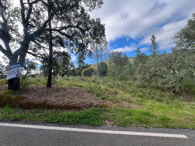 Terreno Agricola ou Rústico para Venda em Alte Foto 22