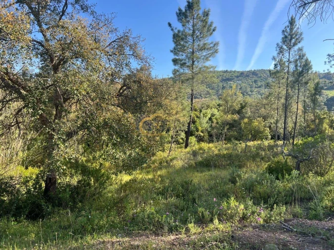 Terreno Agricola ou Rústico para Venda em Alte Foto 4