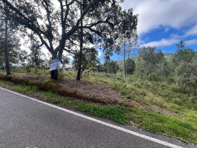 Terreno Agricola ou Rústico para Venda em Alte Foto 19