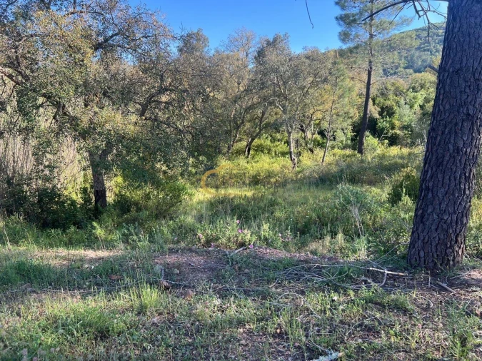 Terreno Agricola ou Rústico para Venda em Alte Foto 9