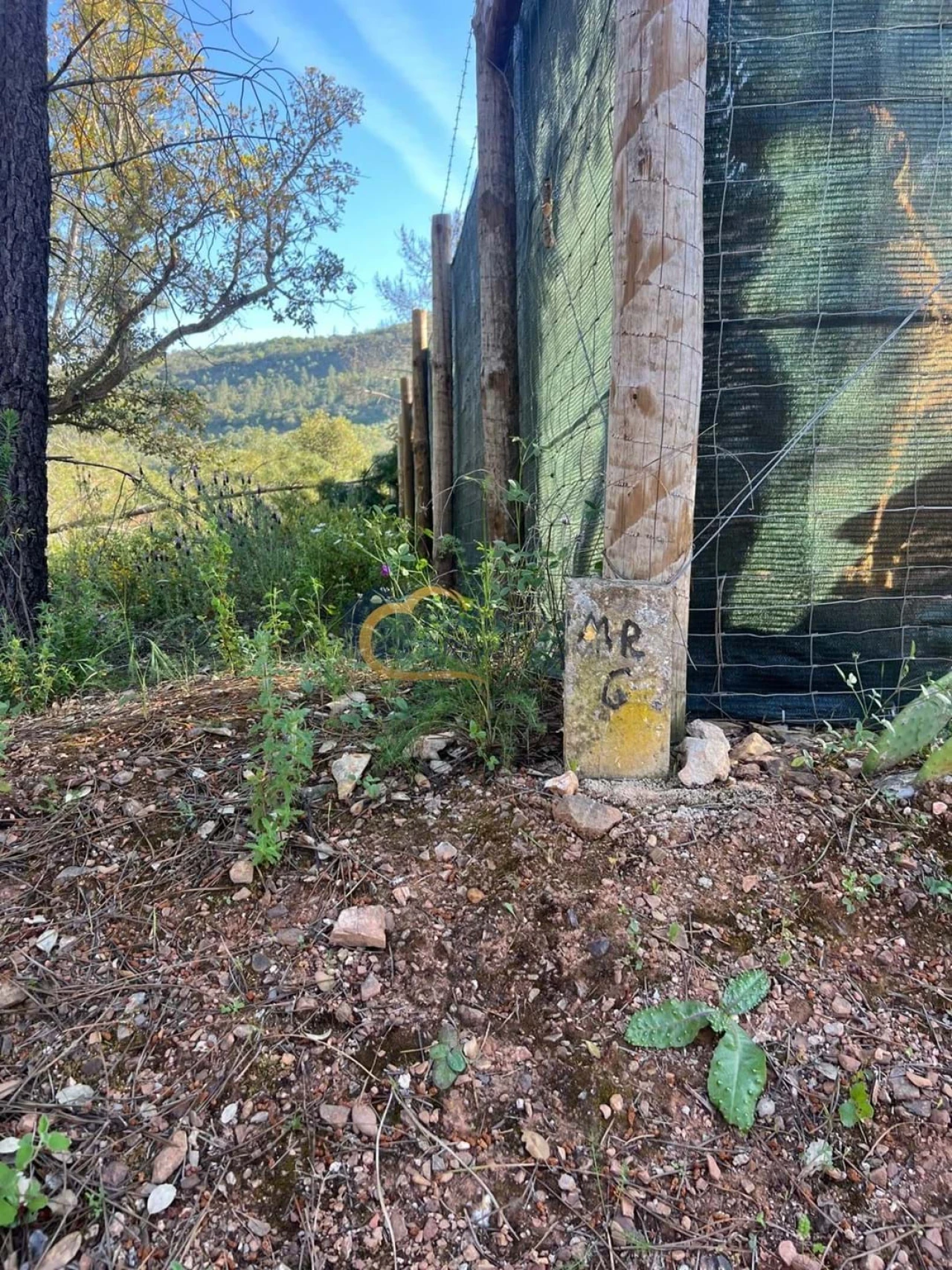 Terreno Agricola ou Rústico para Venda em Alte Foto 10