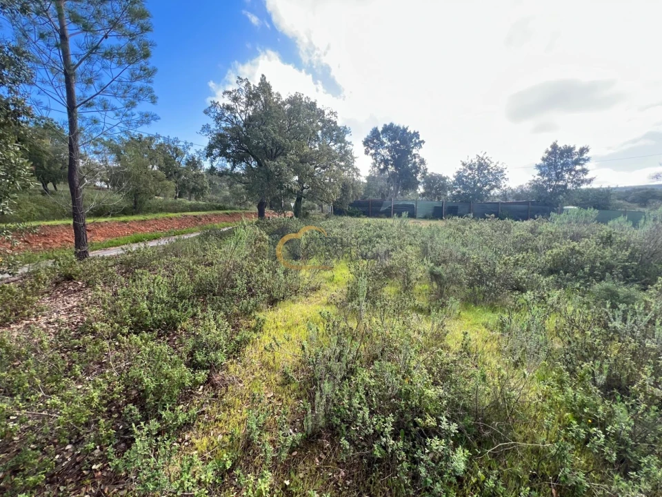 Terreno Agricola ou Rústico para Venda em Alte Foto 18