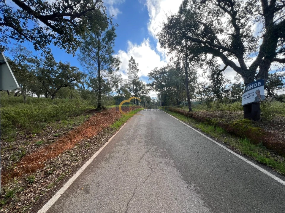 Terreno Agricola ou Rústico para Venda em Alte Foto 20