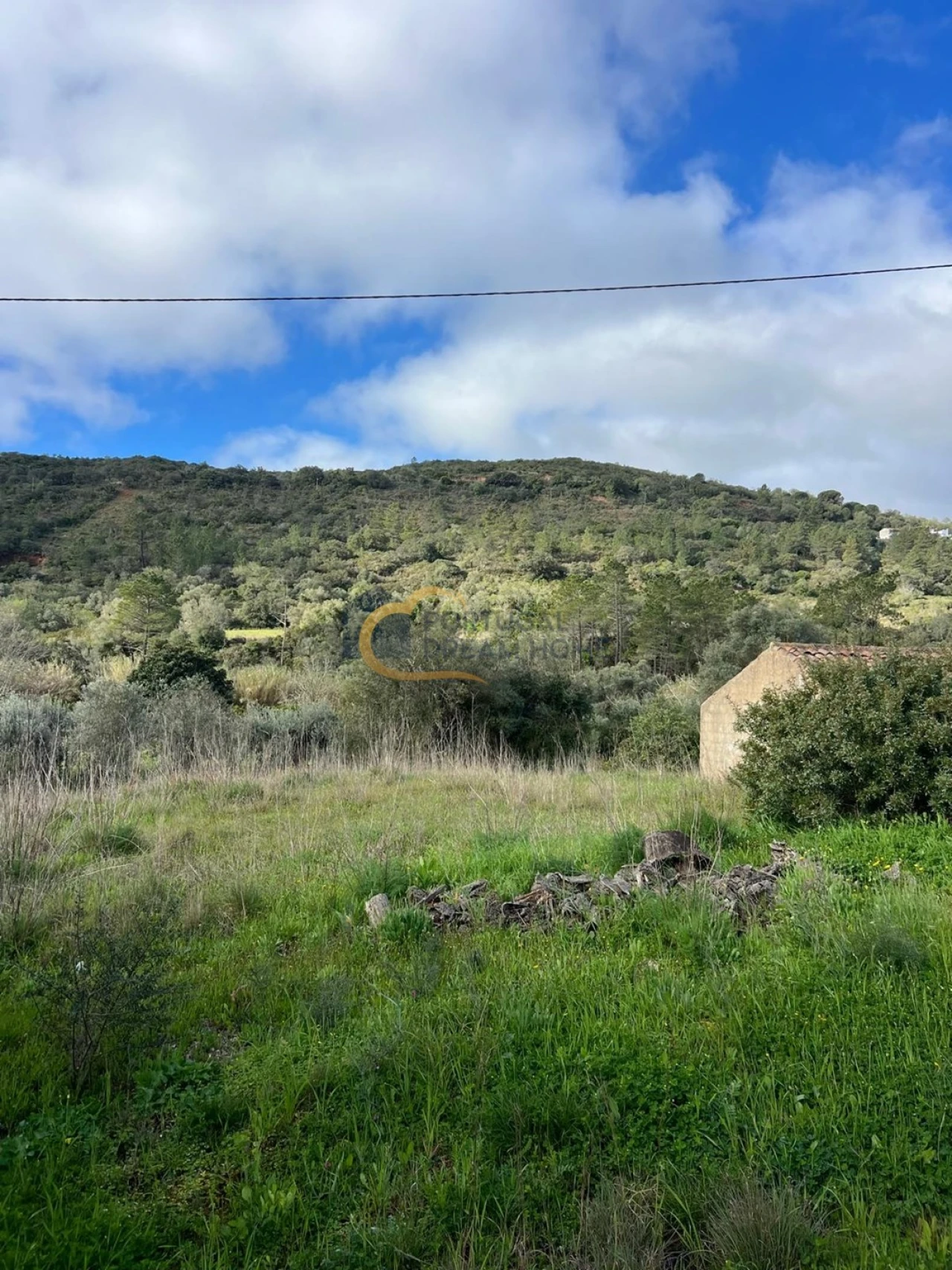Terreno Agricola ou Rústico para Venda em Alte Foto 24