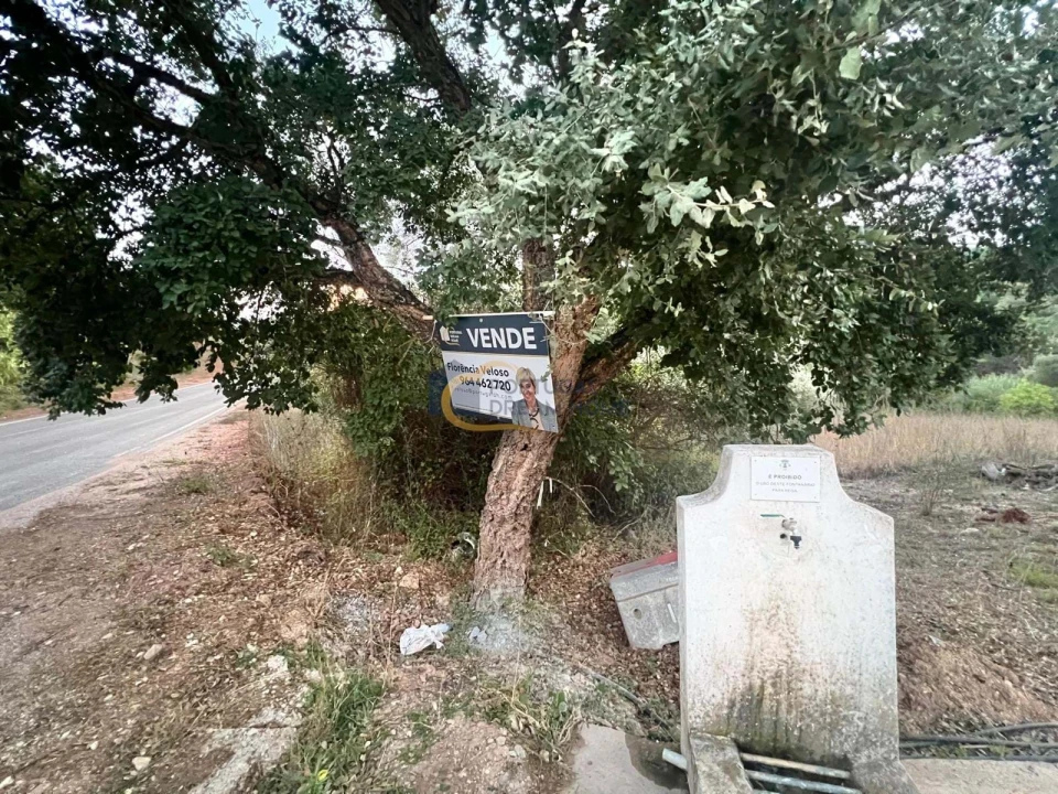 Terreno Agricola ou Rústico para Venda em Alte Foto 28
