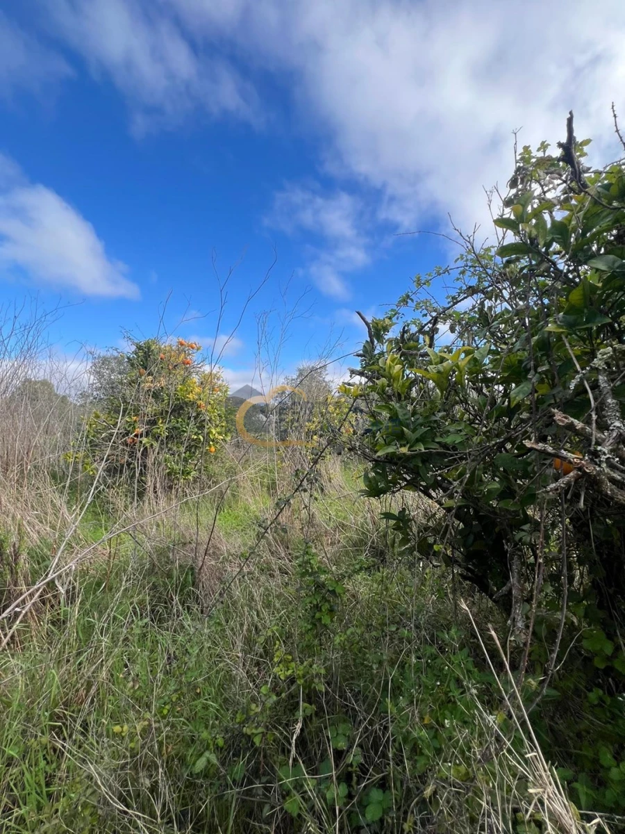 Terreno Agricola ou Rústico para Venda em Alte