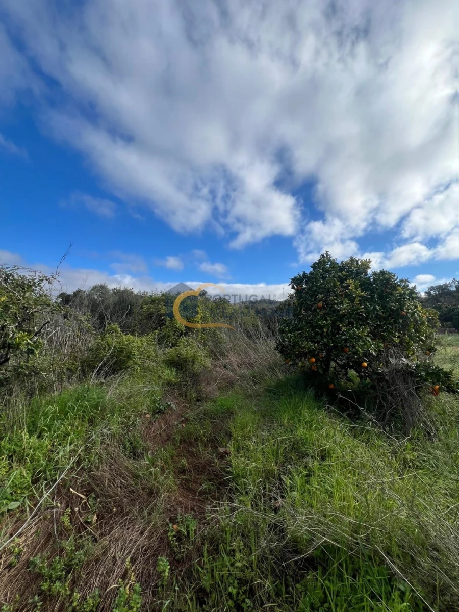 Terreno Agricola ou Rústico para Venda em Alte Foto 16