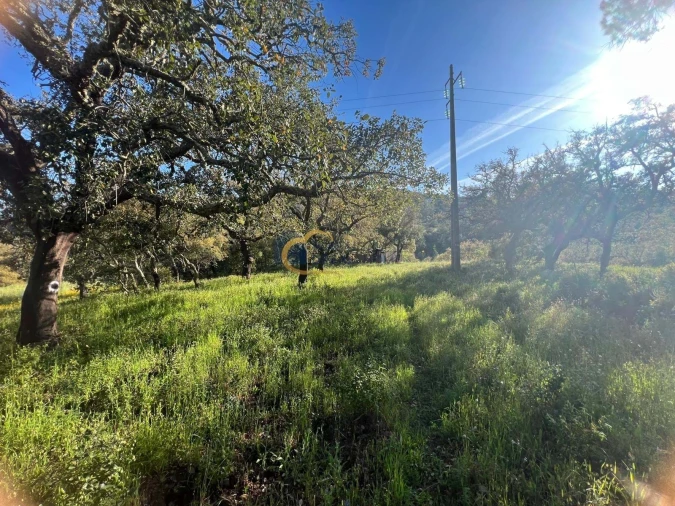 Terreno Agricola ou Rústico para Venda em Alte Foto 30