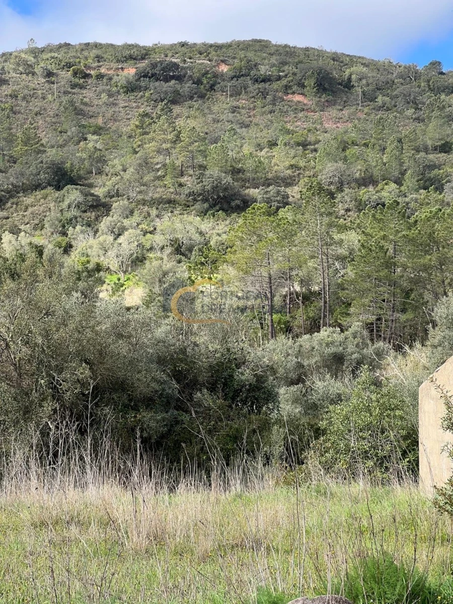 Terreno Agricola ou Rústico para Venda em Alte Foto 22