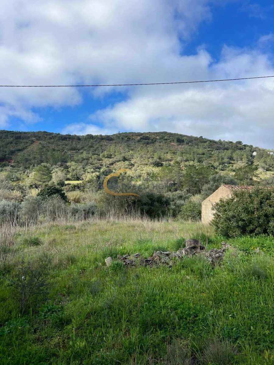 Terreno Agricola ou Rústico para Venda em Alte Foto 24