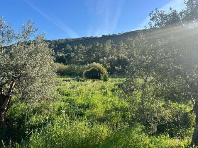 Terreno Agricola ou Rústico para Venda em Alte Foto 21
