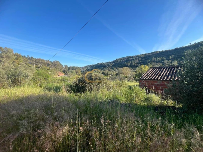 Terreno Agricola ou Rústico para Venda em Alte Foto 29