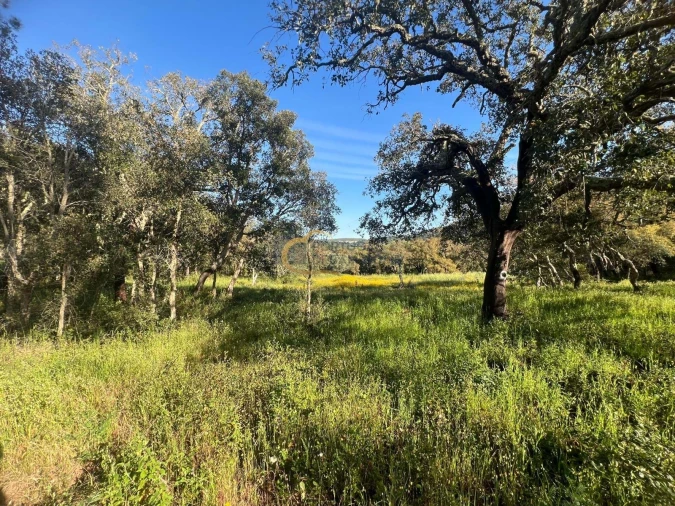 Terreno Agricola ou Rústico para Venda em Alte Foto 32