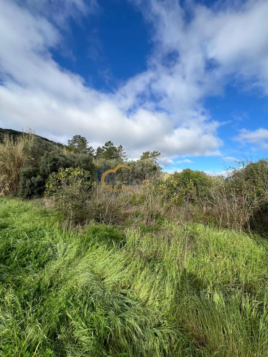 Terreno Agricola ou Rústico para Venda em Alte Foto 14