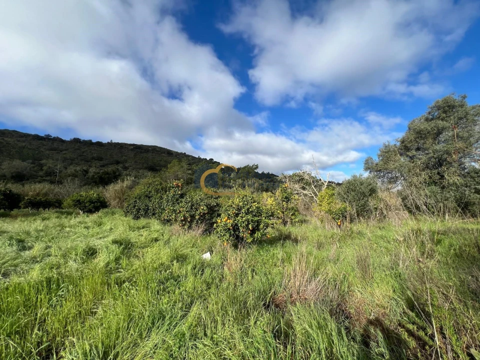 Terreno Agricola ou Rústico para Venda em Alte Foto 8