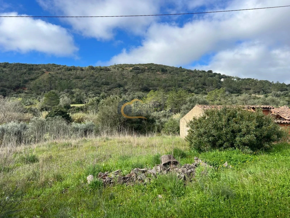 Terreno Agricola ou Rústico para Venda em Alte Foto 5