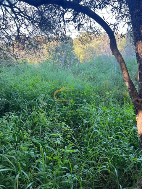 Terreno Agricola ou Rústico para Venda em Alte