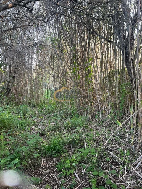 Terreno Agricola ou Rústico para Venda em Alte