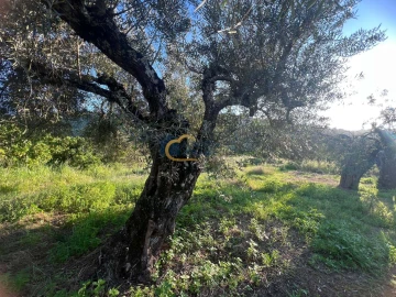 Terreno Agricola ou Rústico para Venda em Alte