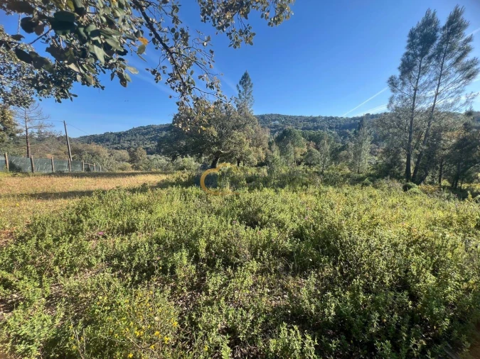 Terreno Agricola ou Rústico para Venda em Alte Foto 19