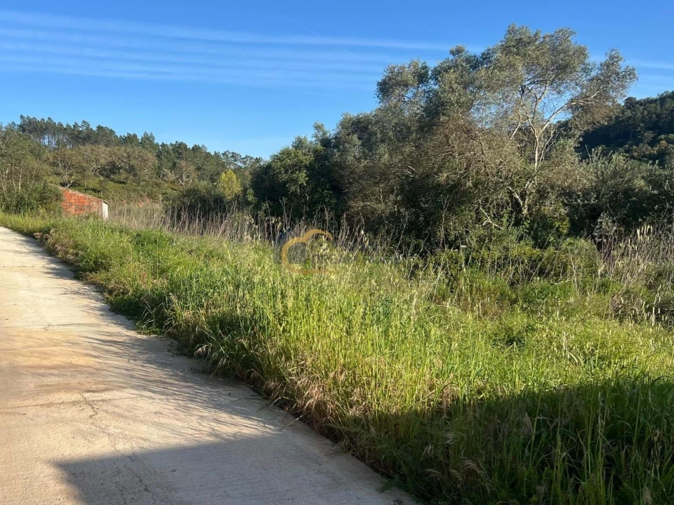 Terreno Agricola ou Rústico para Venda em Alte Foto 2