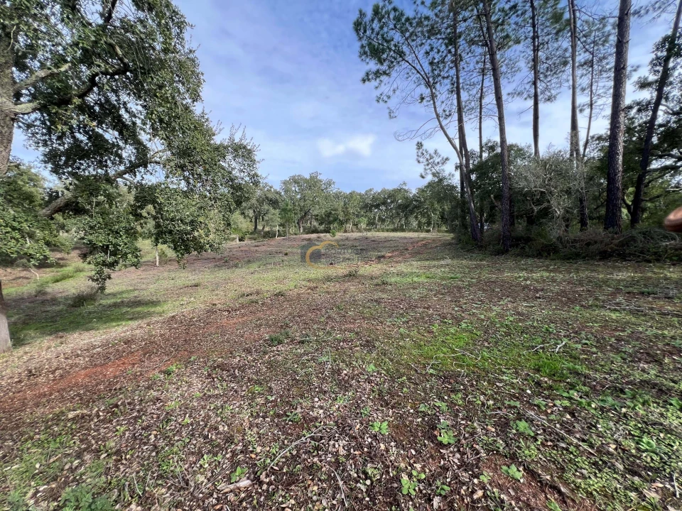 Terreno Agricola ou Rústico para Venda em Alte Foto 8