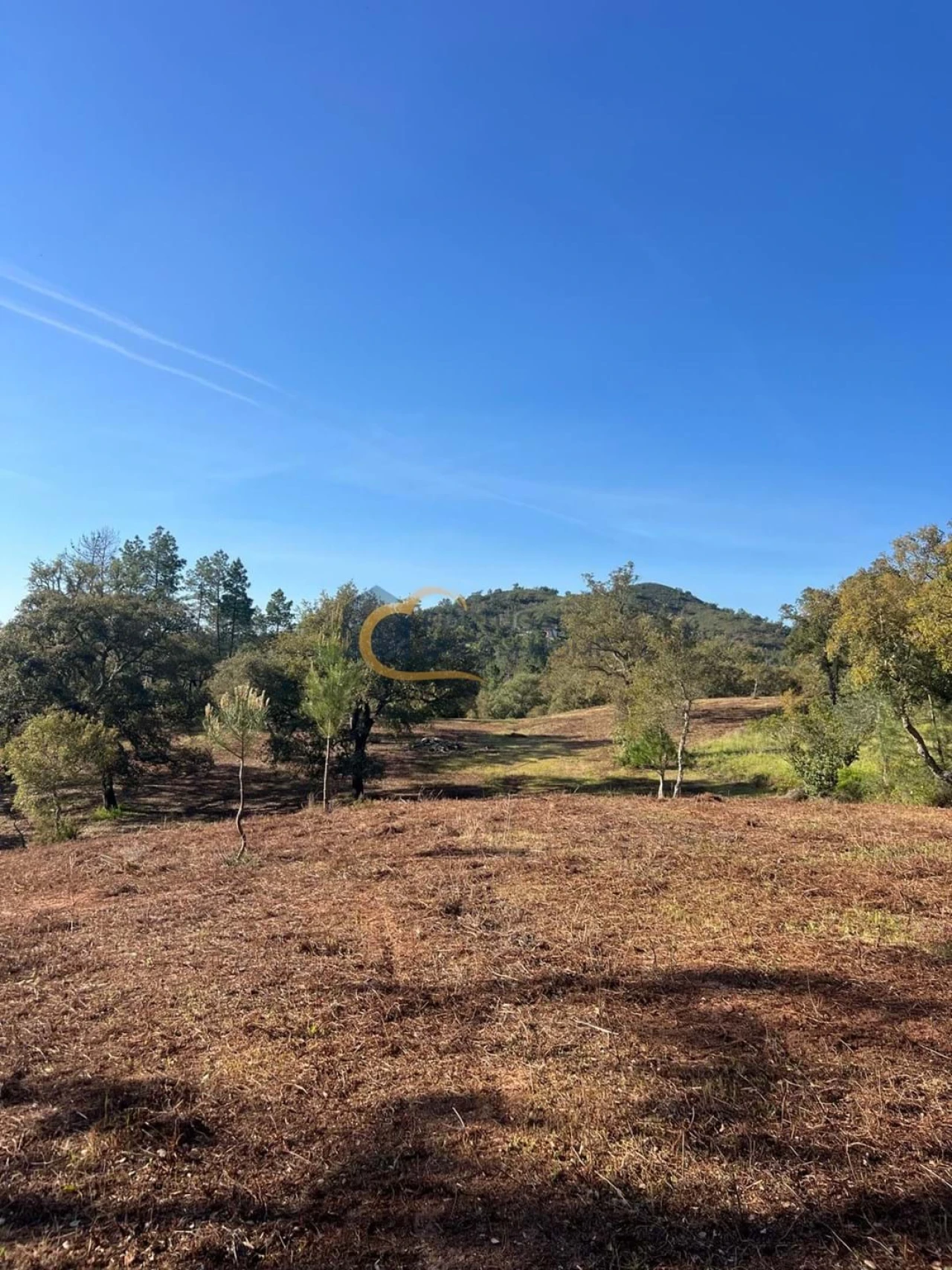 Terreno Agricola ou Rústico para Venda em Alte Foto 6