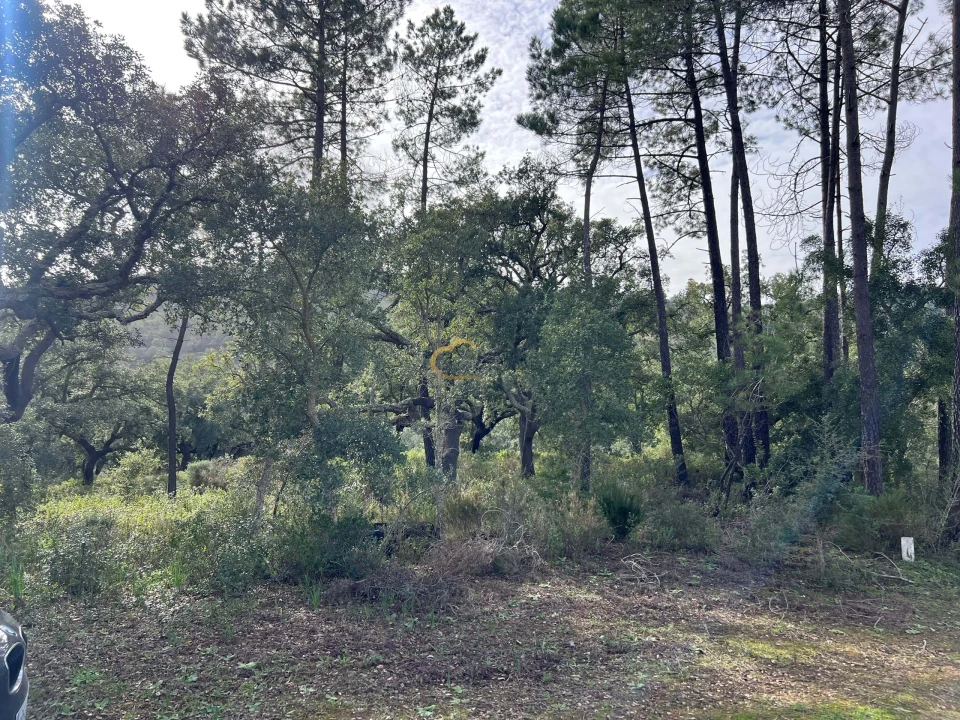 Terreno Agricola ou Rústico para Venda em Alte Foto 10