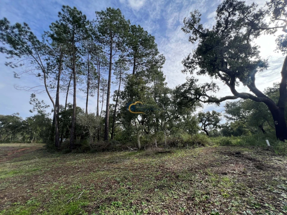 Terreno Agricola ou Rústico para Venda em Alte Foto 3