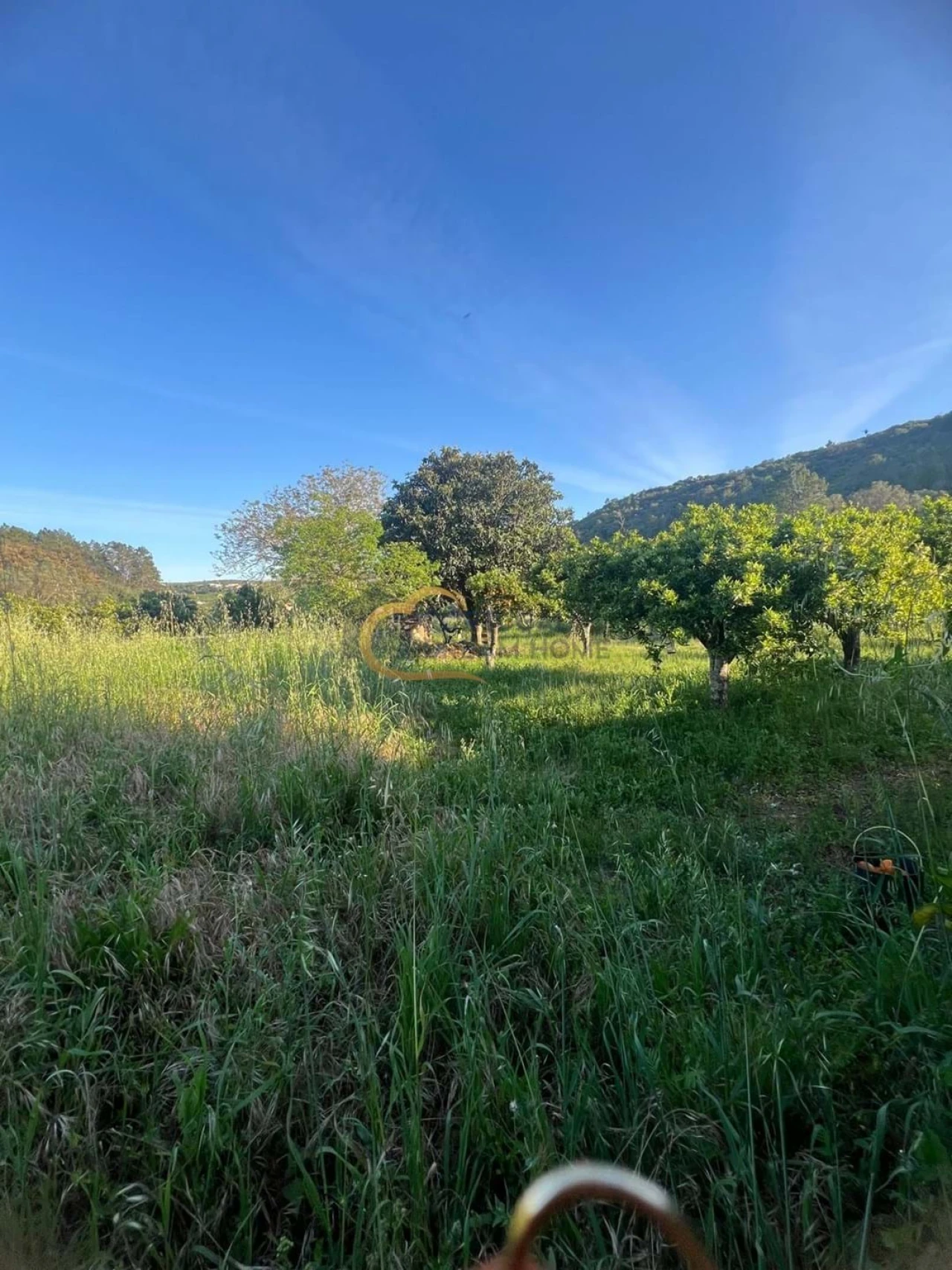 Terreno Agricola ou Rústico para Venda em Alte Foto 28