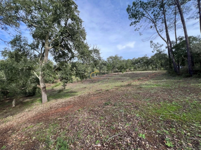 Terreno Agricola ou Rústico para Venda em Alte Foto 7