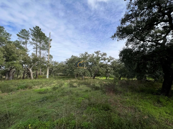 Terreno Agricola ou Rústico para Venda em Alte Foto 16