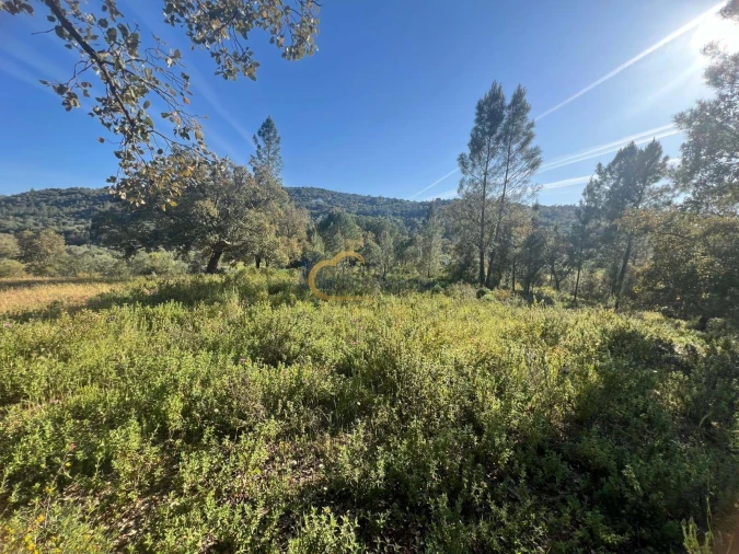 Terreno Agricola ou Rústico para Venda em Alte Foto 20