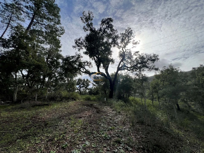 Terreno Agricola ou Rústico para Venda em Alte Foto 2