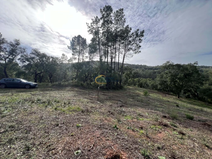 Terreno Agricola ou Rústico para Venda em Alte Foto 9